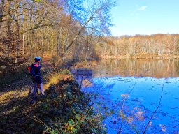 Rando VTT 1000 Etangs Novembre 2015