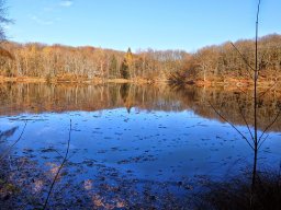 Rando VTT 1000 Etangs Novembre 2015