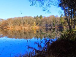 Rando VTT 1000 Etangs Novembre 2015