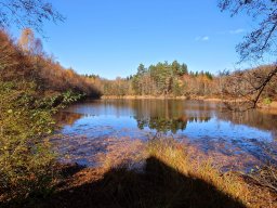 Rando VTT 1000 Etangs Novembre 2015