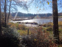 Rando VTT 1000 Etangs Novembre 2015