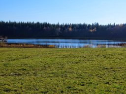 Rando VTT 1000 Etangs Novembre 2015
