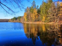 Rando VTT 1000 Etangs Novembre 2015