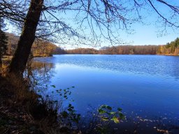 Rando VTT 1000 Etangs Novembre 2015