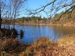 Rando VTT 1000 Etangs Novembre 2015