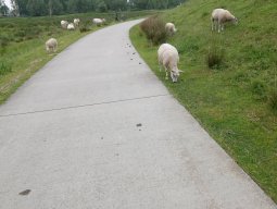 Cap Nord 2016 Etape 8