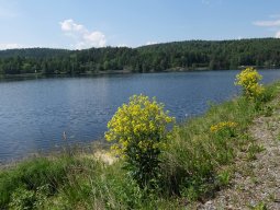 Cap Nord 2016 Etape 21