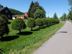 Cap Nord 2016 Etape 23