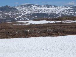Cap Nord 2016 Etape 25