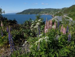 Cap Nord 2016 Etape 30