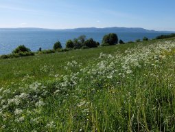 Cap Nord 2016 Etape 30