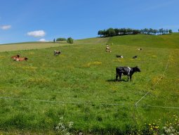 Cap Nord 2016 Etape 30