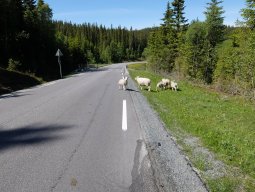 Cap Nord 2016 Etape 30
