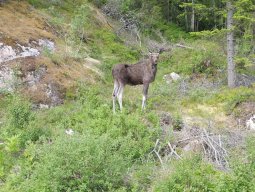 Cap Nord 2016 Etape 31