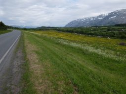 Cap Nord 2016 Etape 34