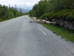 Cap Nord 2016 Etape 35