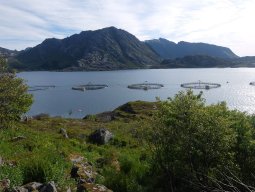 Cap Nord 2016 Etape 39