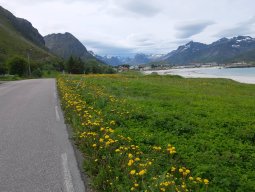 Cap Nord 2016 Etape 39