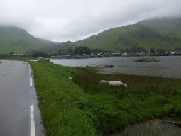 Cap Nord 2016 Etape 39