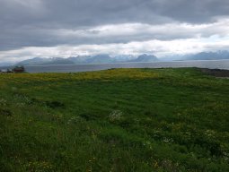 Cap Nord 2016 Etape 41