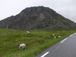 Cap Nord 2016 Etape 43