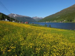 Cap Nord 2016 Etape 44