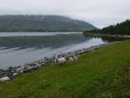 Cap Nord 2016 Etape 47
