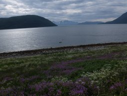 Cap Nord 2016 Etape 47