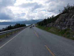Cap Nord 2016 Etape 48