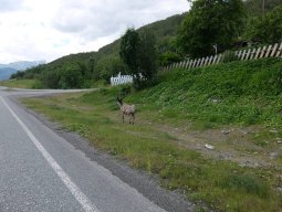 Cap Nord 2016 Etape 48